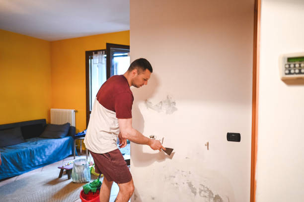 Best Residential Mold Remediation in Locust Grove, OK